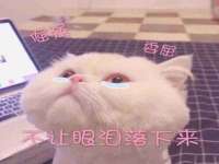徐州利驰海金属加工机械有限公司