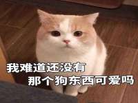 徐州利驰海金属加工机械有限公司