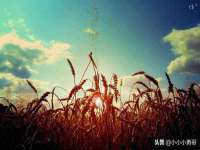 徐州利驰海金属加工机械有限公司
