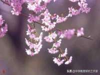 徐州利驰海金属加工机械有限公司