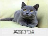 徐州利驰海金属加工机械有限公司