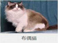 徐州利驰海金属加工机械有限公司