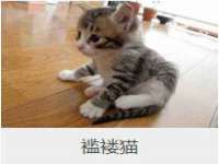 徐州利驰海金属加工机械有限公司