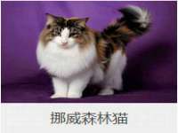 徐州利驰海金属加工机械有限公司