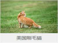 徐州利驰海金属加工机械有限公司