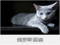 徐州利驰海金属加工机械有限公司