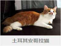 徐州利驰海金属加工机械有限公司