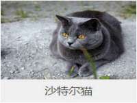 徐州利驰海金属加工机械有限公司