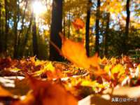 徐州利驰海金属加工机械有限公司