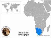 徐州利驰海金属加工机械有限公司
