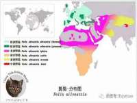 徐州利驰海金属加工机械有限公司