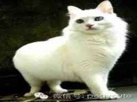 徐州利驰海金属加工机械有限公司