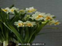 徐州利驰海金属加工机械有限公司