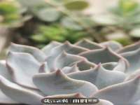 徐州利驰海金属加工机械有限公司