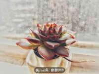 徐州利驰海金属加工机械有限公司