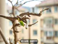 徐州利驰海金属加工机械有限公司