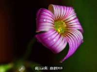 徐州利驰海金属加工机械有限公司