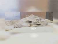 徐州利驰海金属加工机械有限公司