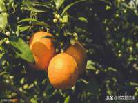 徐州利驰海金属加工机械有限公司