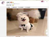 徐州利驰海金属加工机械有限公司