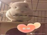 徐州利驰海金属加工机械有限公司
