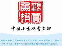 徐州利驰海金属加工机械有限公司