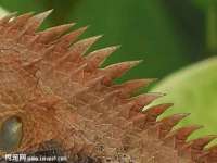徐州利驰海金属加工机械有限公司