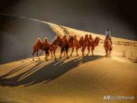 徐州利驰海金属加工机械有限公司