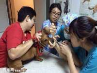 徐州利驰海金属加工机械有限公司