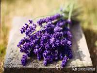徐州利驰海金属加工机械有限公司